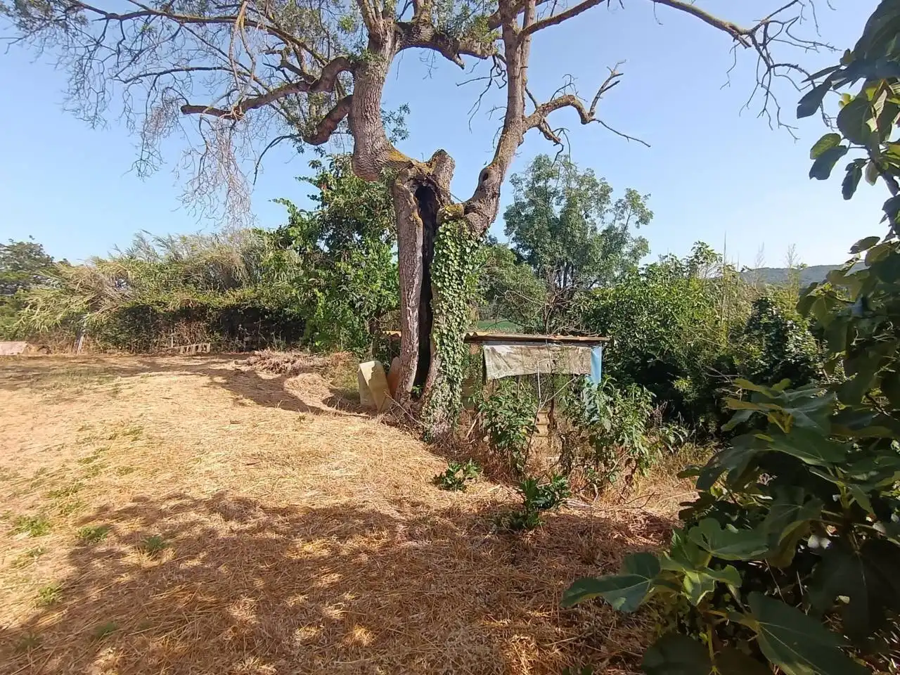 Maison avec jardin à vendre à Tordera pueblo, imagen 26