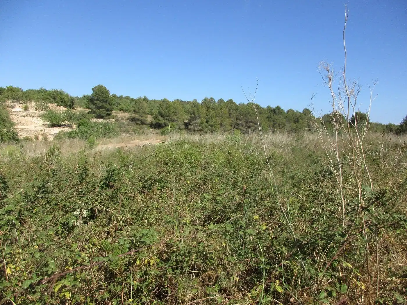 Residential land for sale in Passeig de l'Estació 11, imagen 16