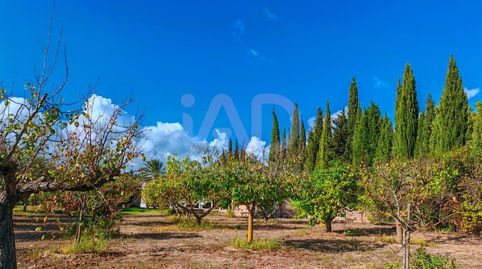 Foto 4 de Casa o xalet en venda a Establiments, Palma de Mallorca