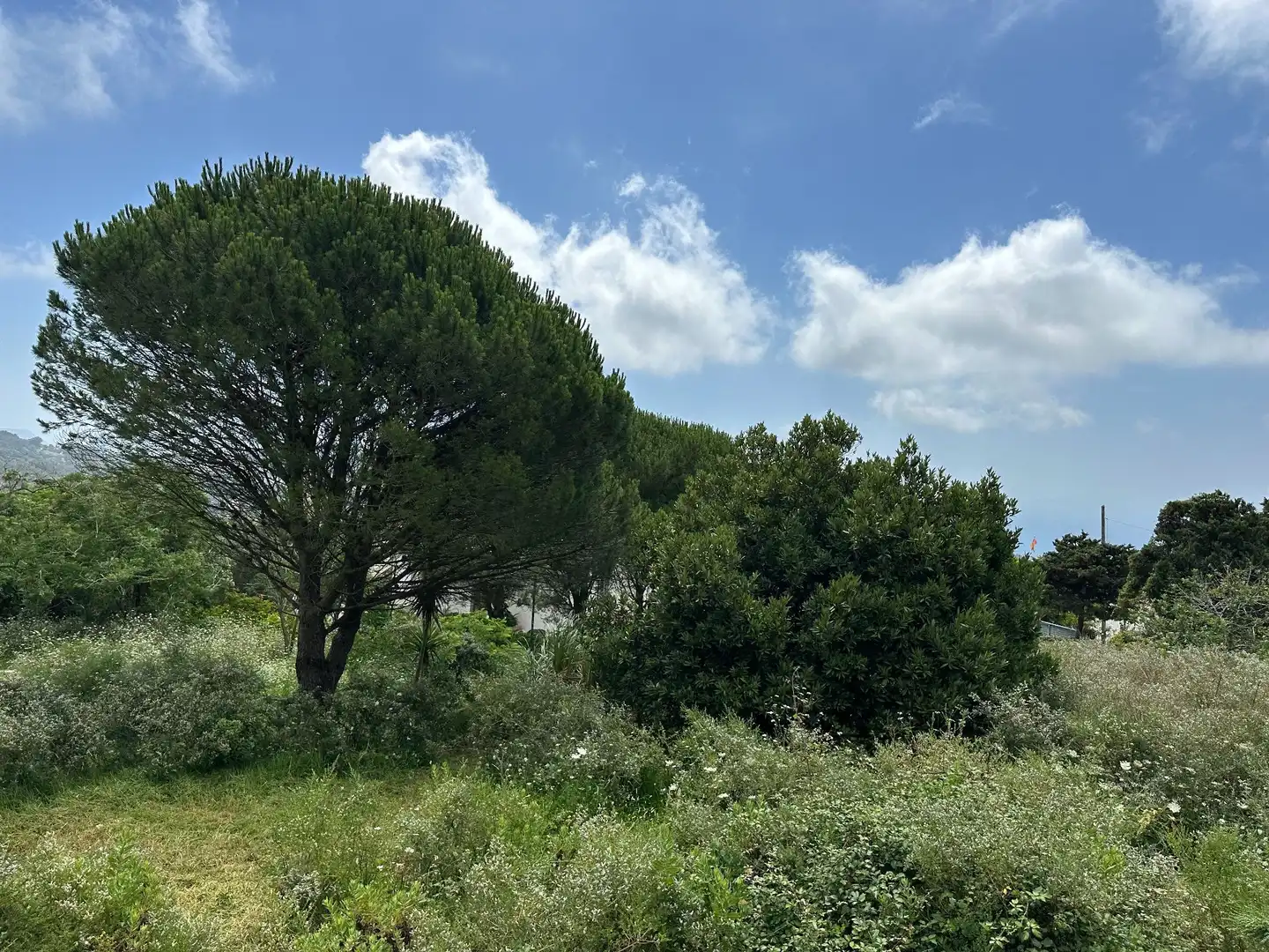 Terrenys i solars en venda a El Cuartón - El Bujeo, imagen 10