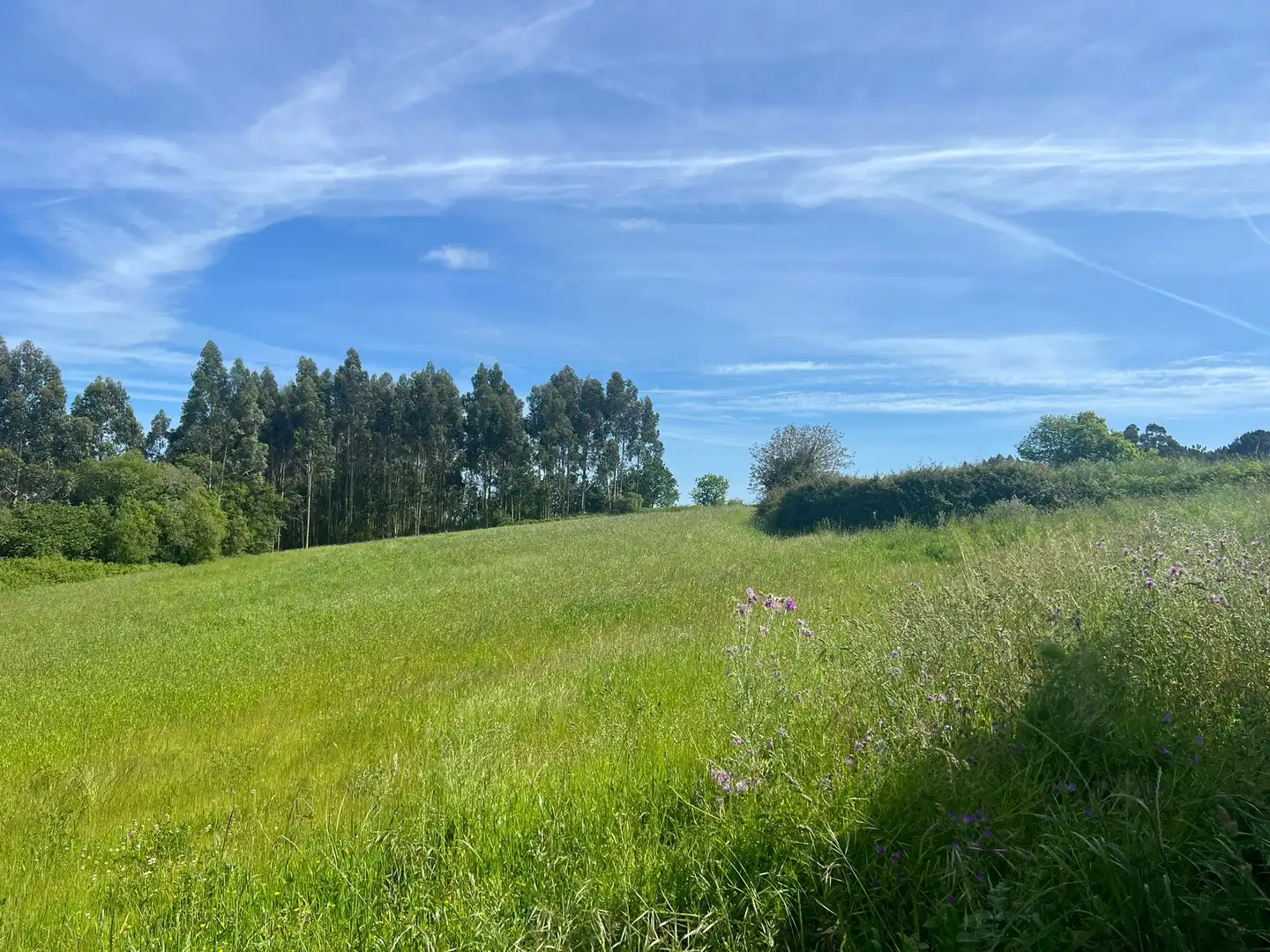 Terreno residenziale in vendita a Miño, imagen 5