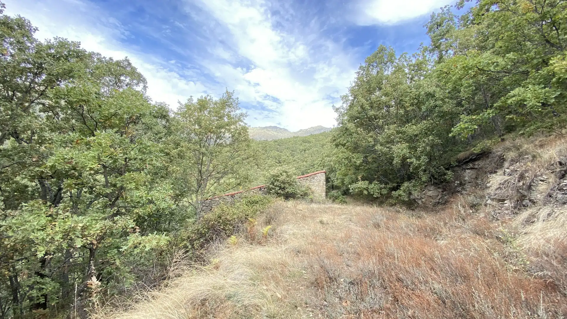 Terreno en venta en Tornavacas