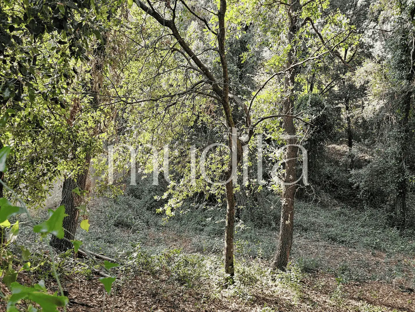 Residential land for sale in del Xaloc, imagen 22