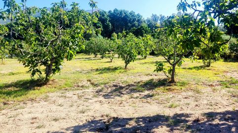 PRECIOSA FINCA EN JARANDILLA, imagen 3