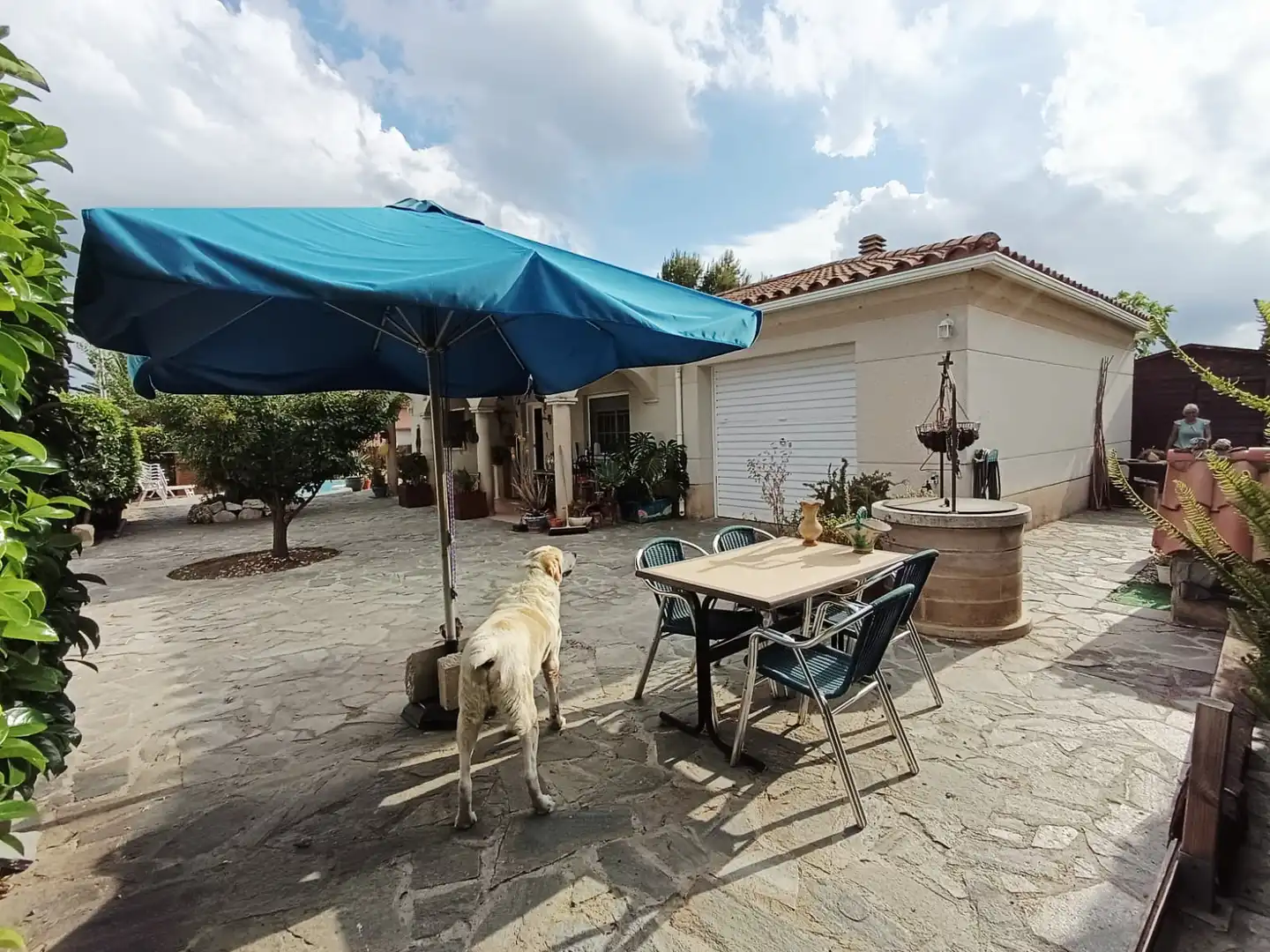 Vista exterior de Casa o chalet en venta en Piera con Aire acondicionado, Calefacción y Jardín privado