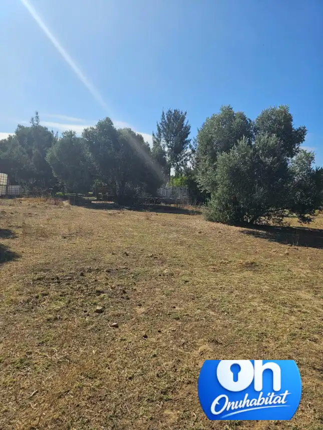 Terrenos y solares en venta en Gibraleón, imagen 11