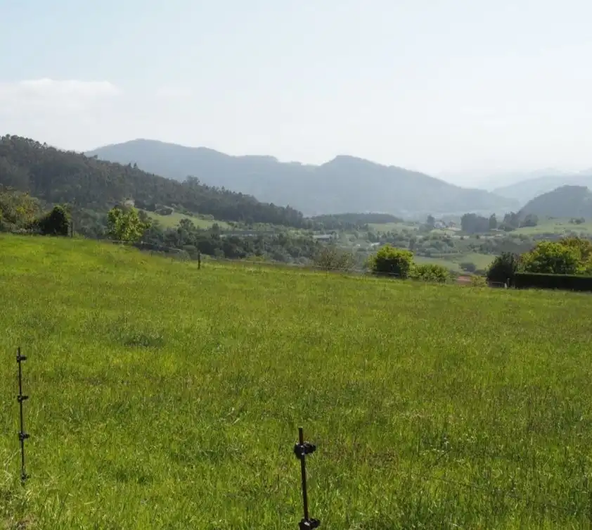 Lands and plots for sale in Soto del Barco