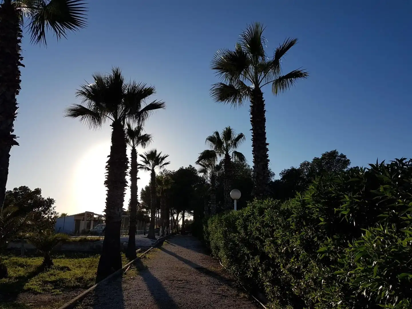 Villa avec piscine à vendre à Campo de Murcia, imagen 4