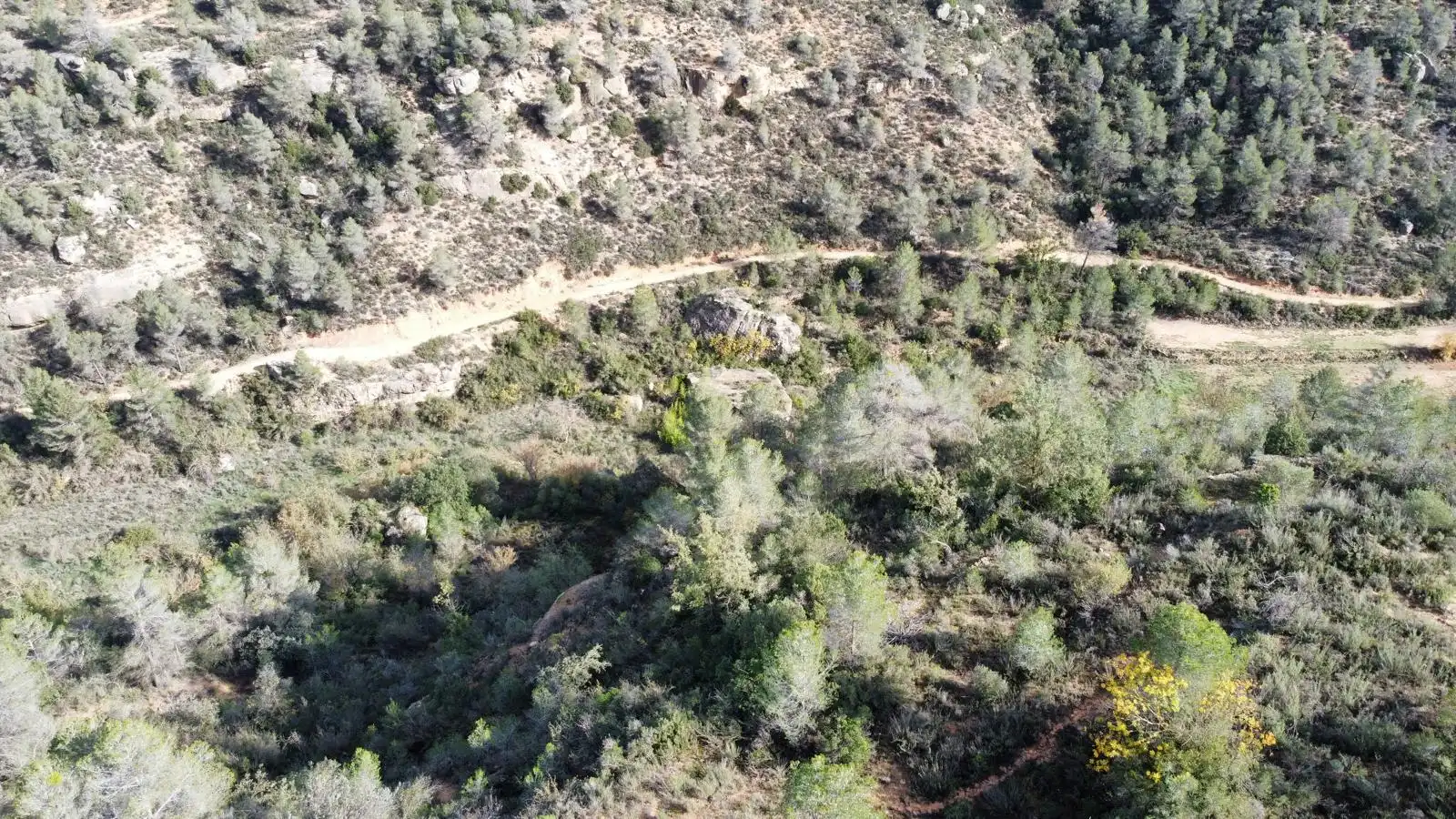 Terreno rustico in vendita a Cervià de Les Garrigues, imagen 42