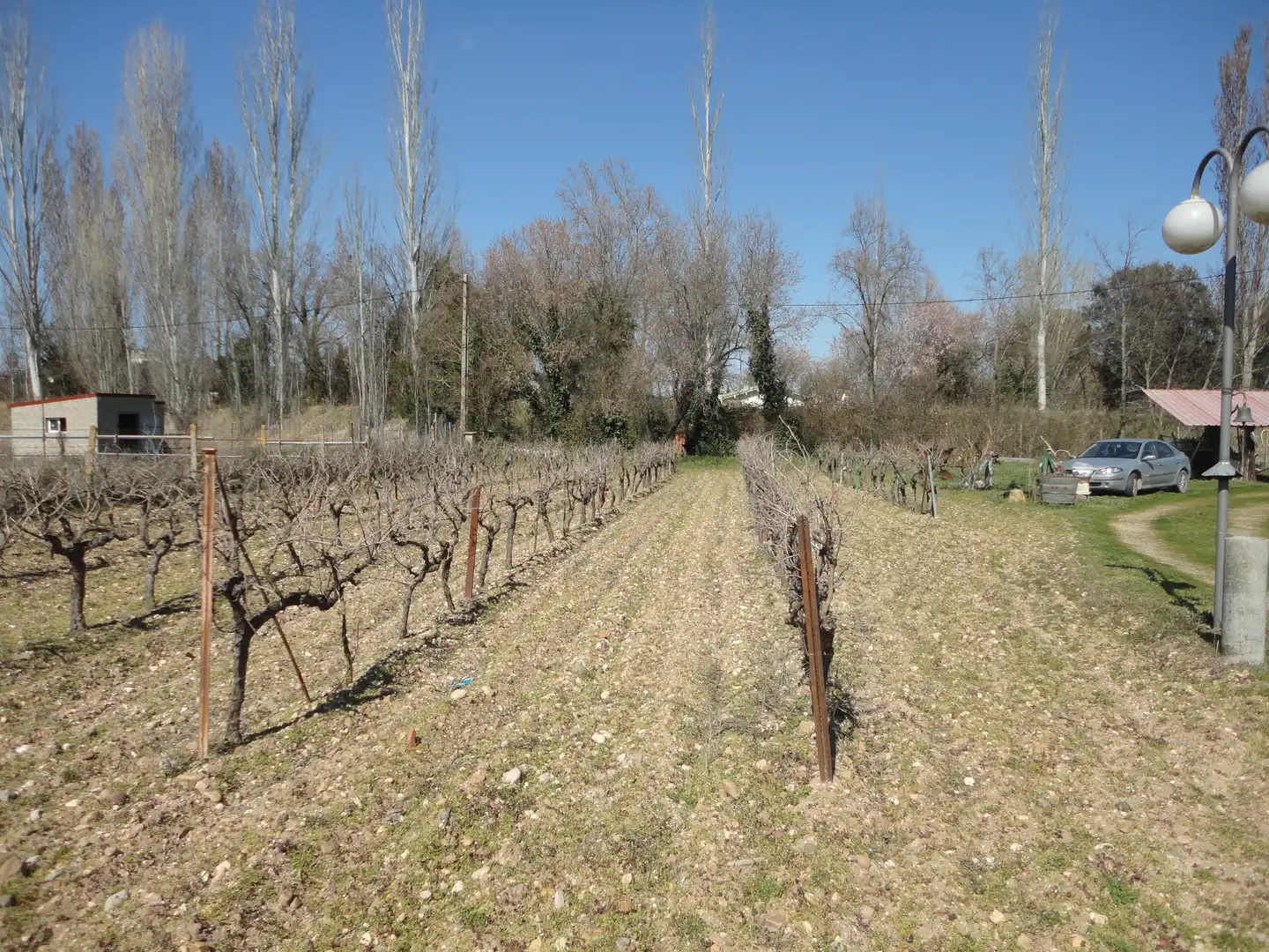 Chalet con piscina en venta en Laguna de Duero, imagen 25