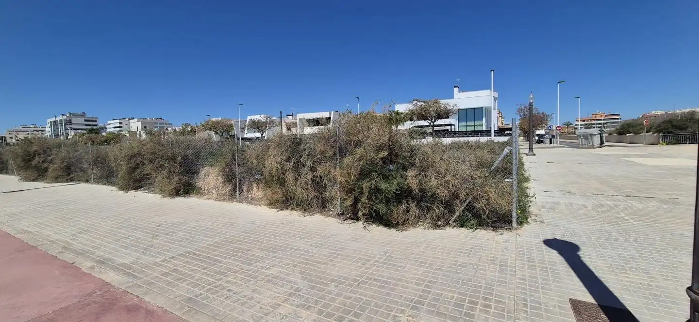 Lands and plots for sale in Elche ciudad, imagen 8