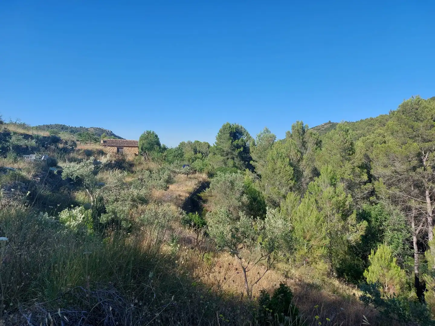 Terreny residencial en venda a Xaló, imagen 6