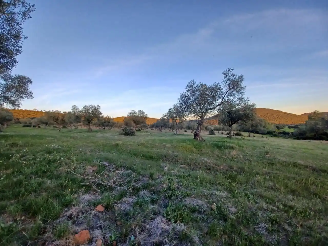 Grundstücke zum Verkauf in Peraleda del Zaucejo