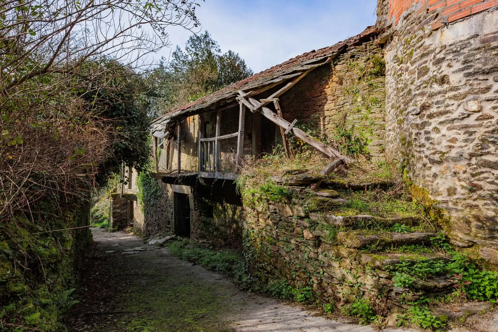 Vista exterior de Finca rústica en venta en Beariz