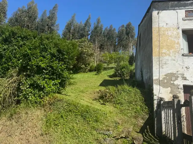 Casa o xalet en venda en Castropol