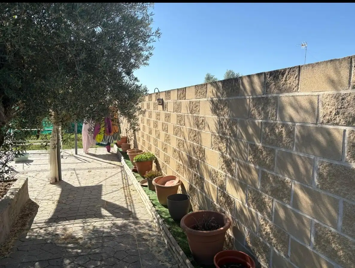 Chalet con piscina en venta en Calle Canario 16, imagen 21