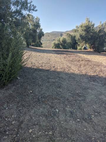 Terreno en Venta en N/A, -1 en Campotéjar