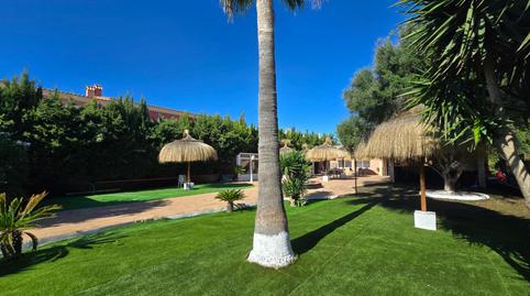 Photo 3 of Premises to rent in Sa Torre, Illes Balears