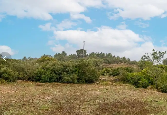 Terreno rustico in vendita a Cheste, imagen 2