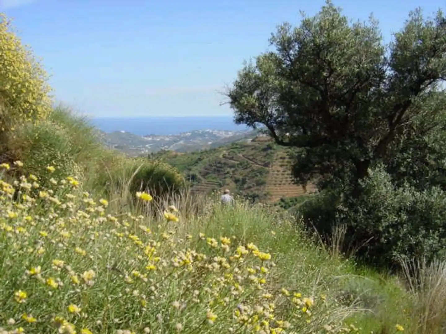 Rural land for sale in Diseminado Matachinas Pol 12, imagen 7