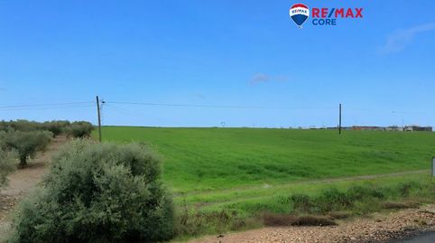Foto 2 de Terreno en venta en Este, Mérida