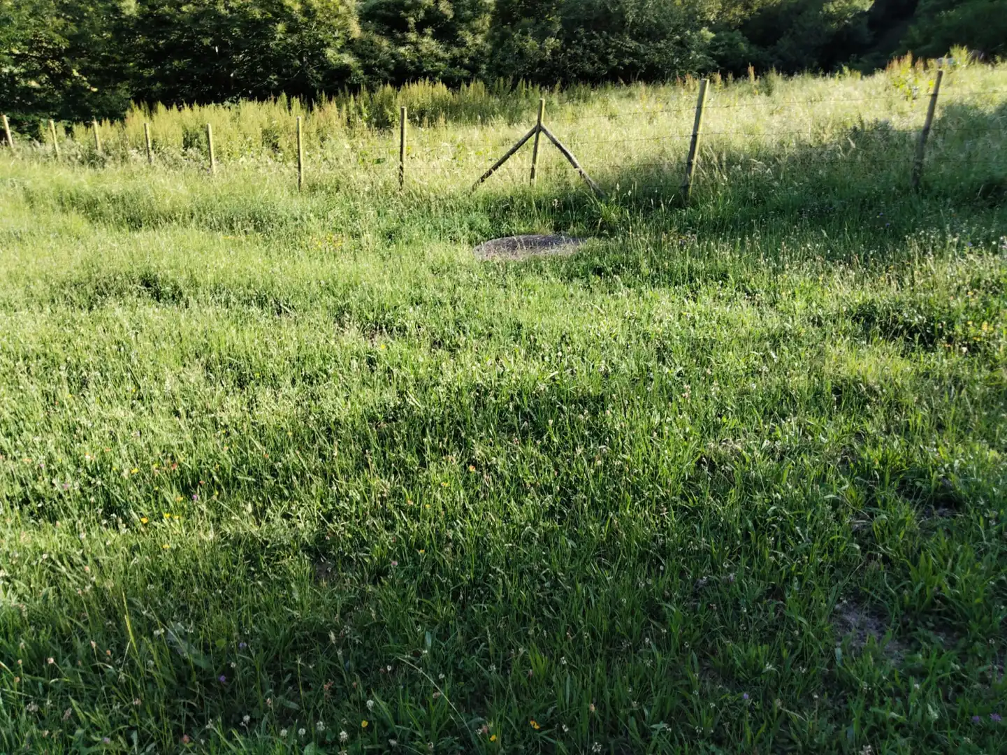 Residencial en venda en Rionansa