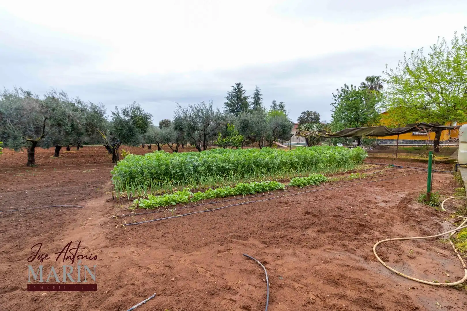 Casa o xalet en venda en Badajoz amb Terrassa, Traster i Moblat
