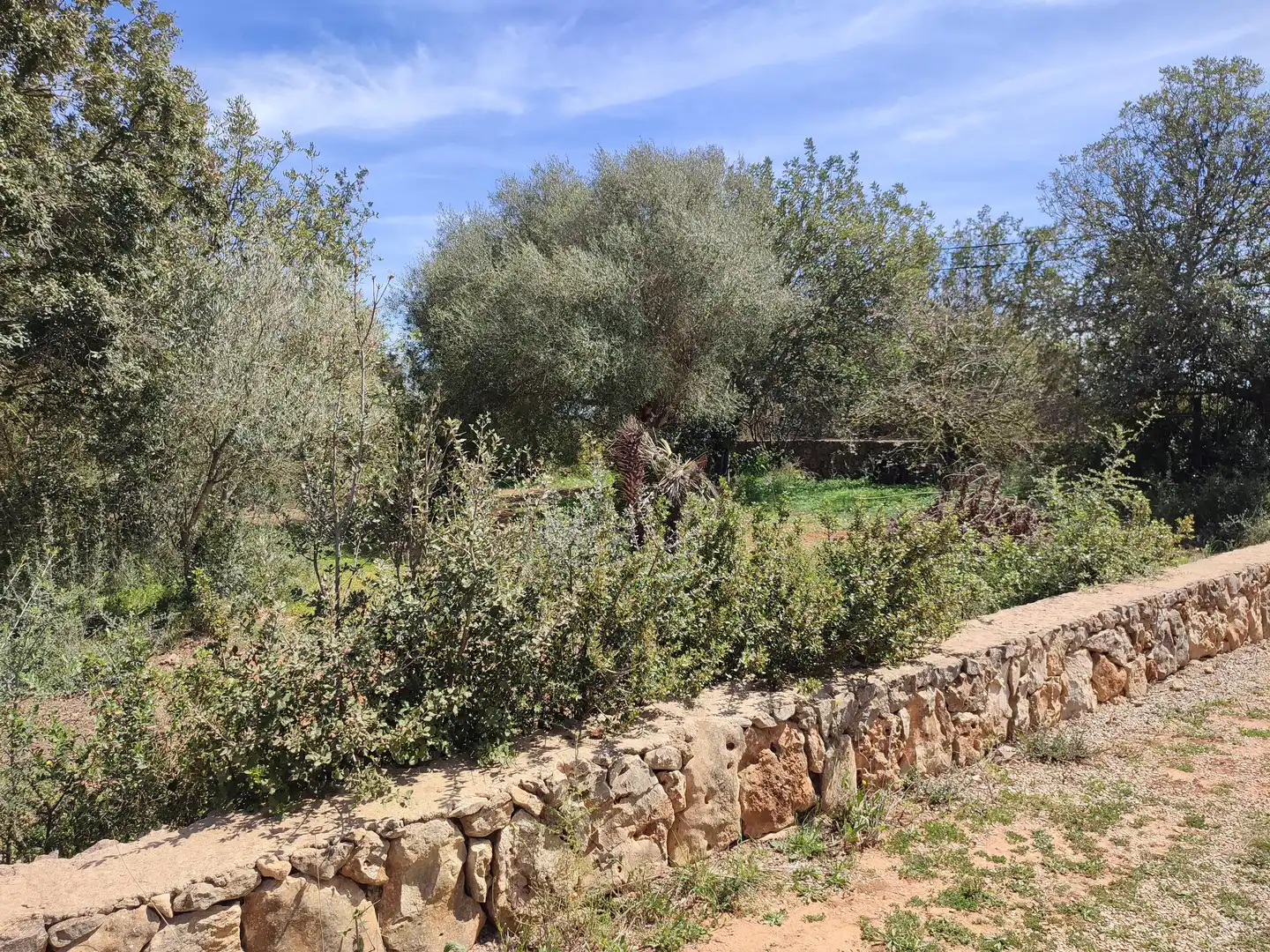 Maison rustique avec jardin à vendre à Felanitx Poble, imagen 18