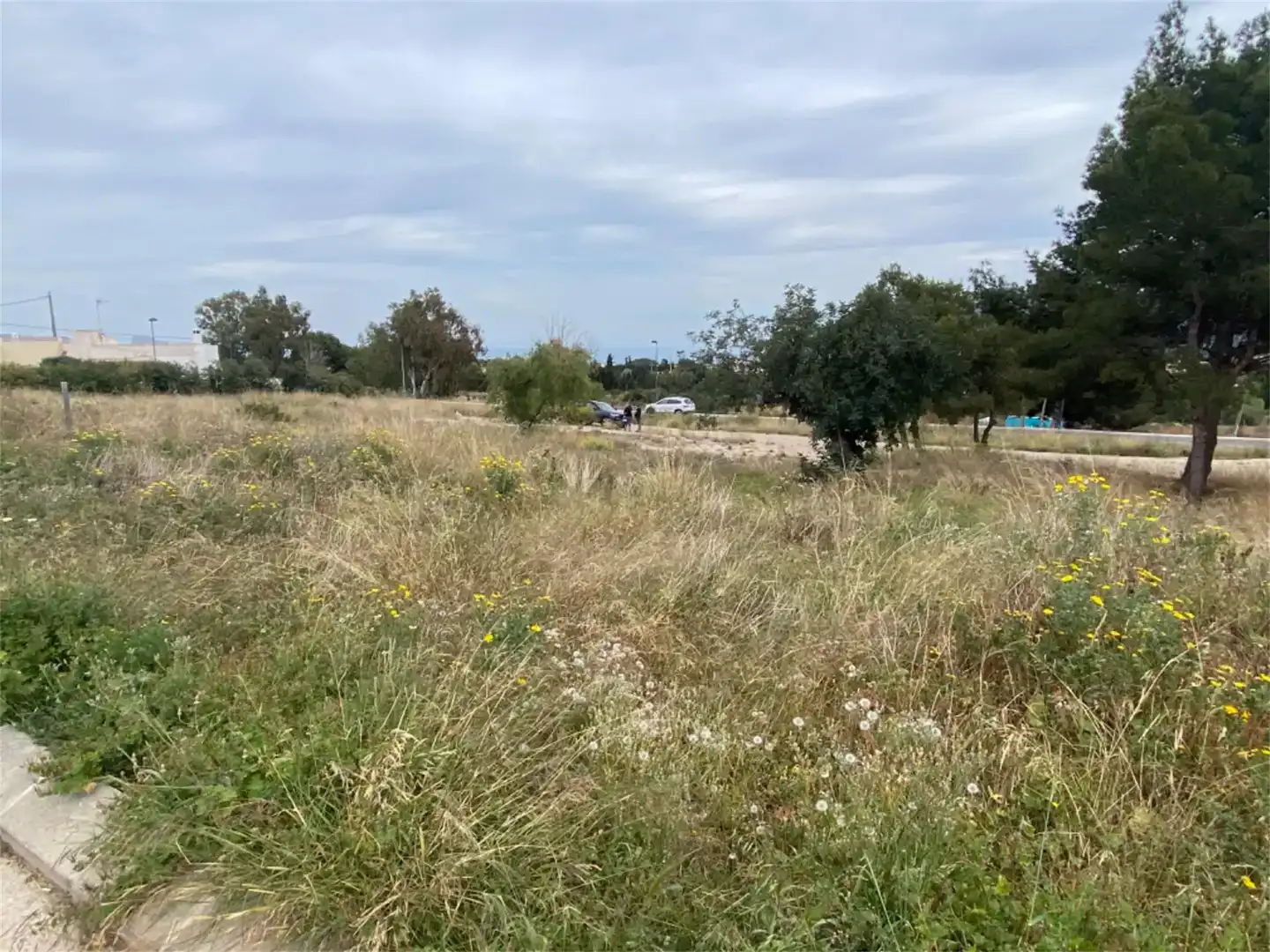 Terreno en venta en Escandinavia - Cautivador