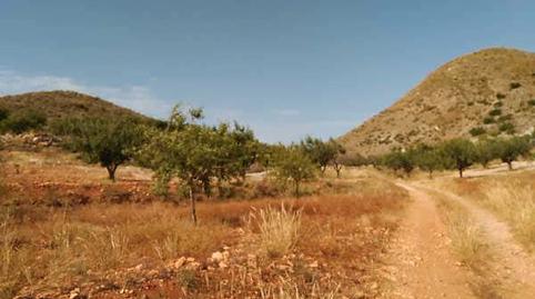 Photo 5 of Residential for sale in Nº 81 Parcela 397. Bancal el Moro, Campo Nubla, Murcia