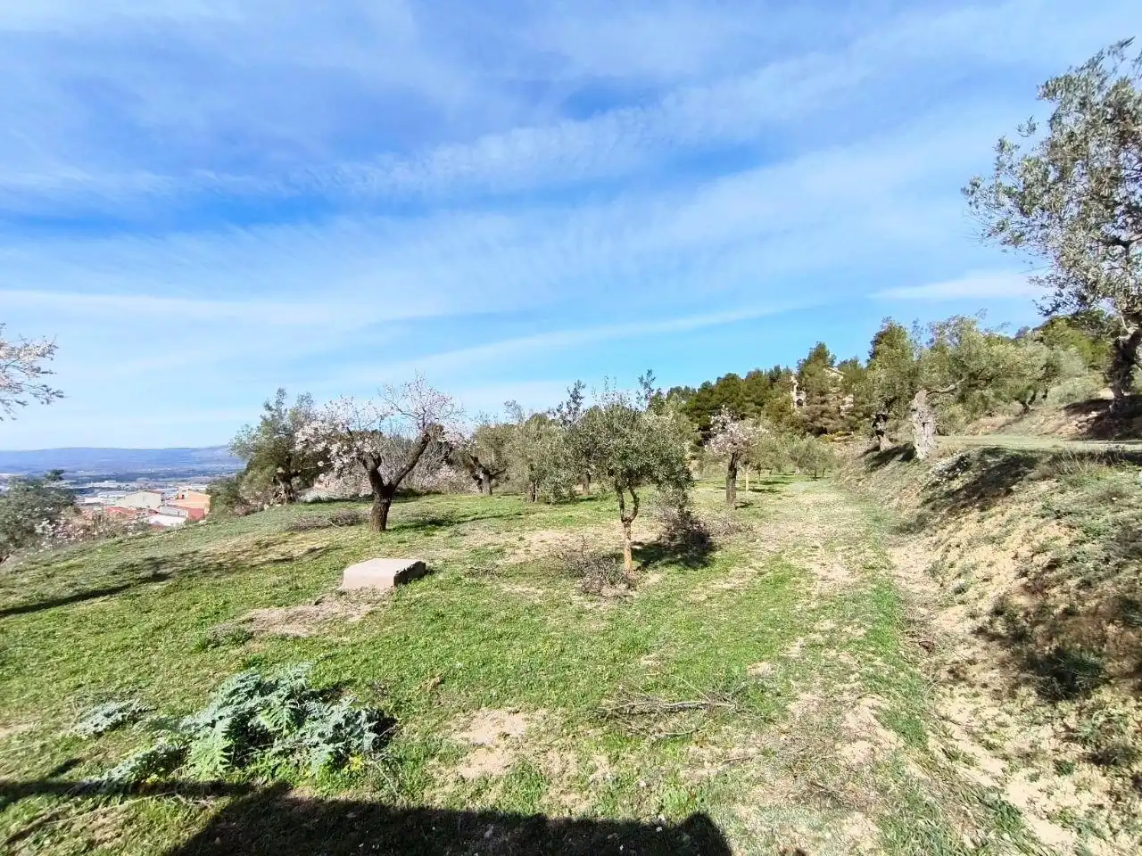 Xalet en venda a Banyeres de Mariola, imagen 29