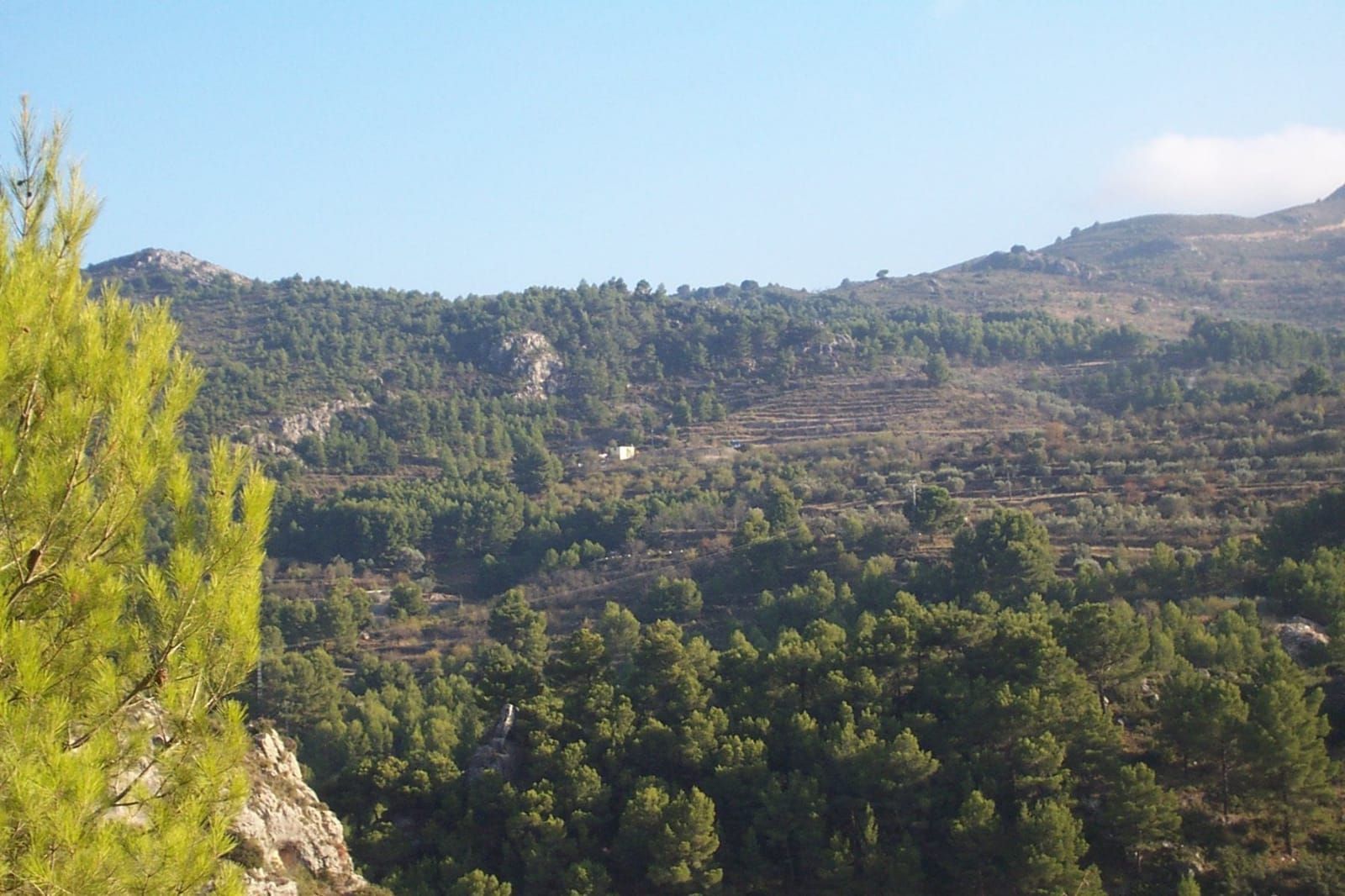 Finca rústica en venda en Confrides