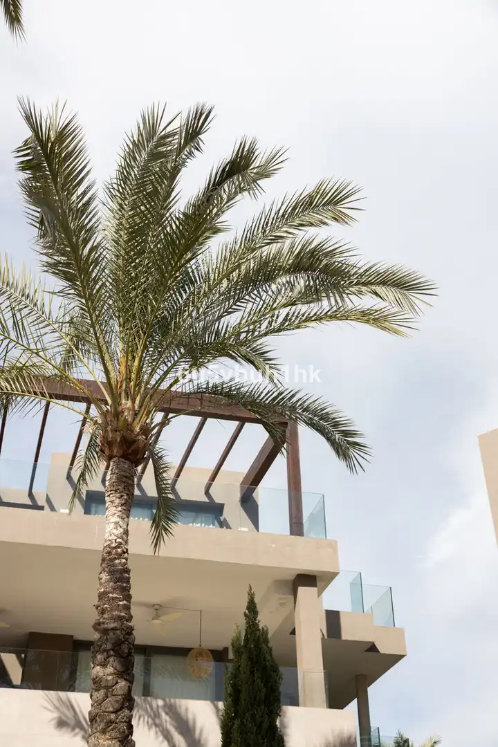 Apartamento con piscina en venta en Benamara - Atalaya, imagen 14