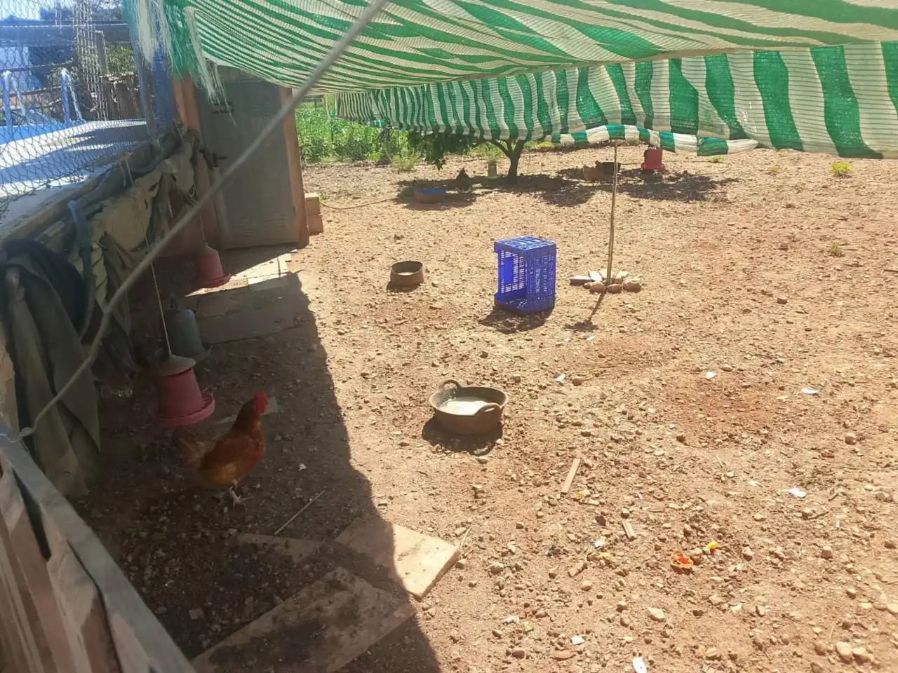 Casa o xalet en venda en Ador amb Terrassa, Piscina i Moblat