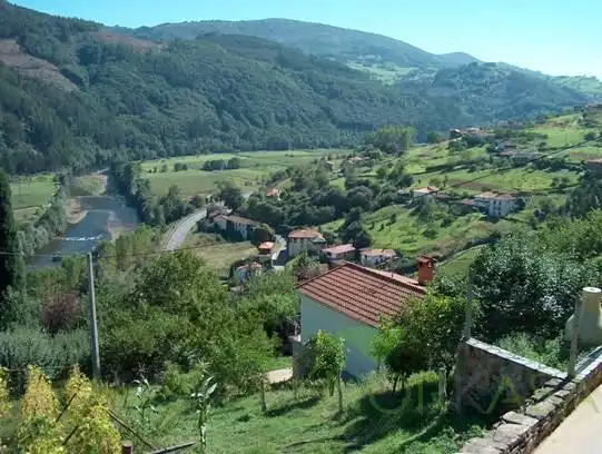 Vista exterior de Finca rústica en venta en Pravia