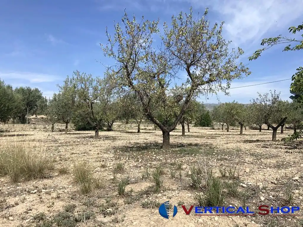 Chalet en venta en Camino Toconera, imagen 28