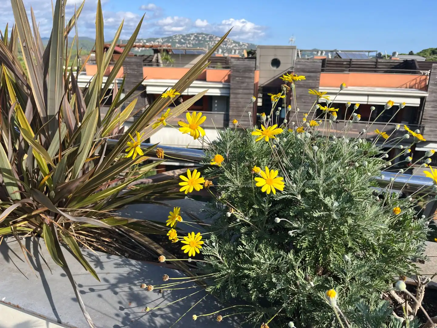 Apartamento con piscina en venta en Avenida Sa Boadella 10, imagen 18