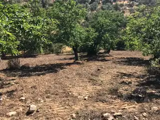 Terreni e lotti in vendita a Cortegana, imagen 9