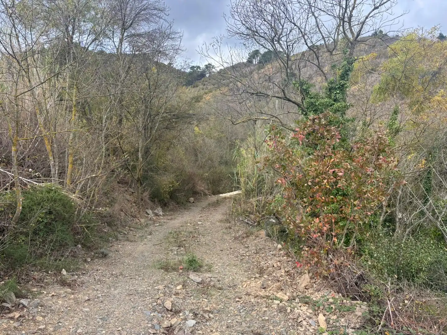 Terreno rústico en venta en Porrera, imagen 7