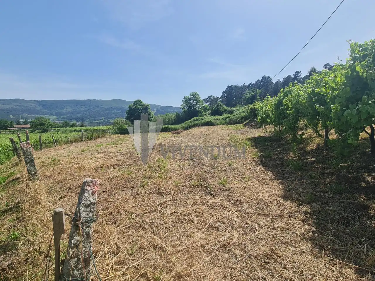 Rural land for sale in Arbo, imagen 4