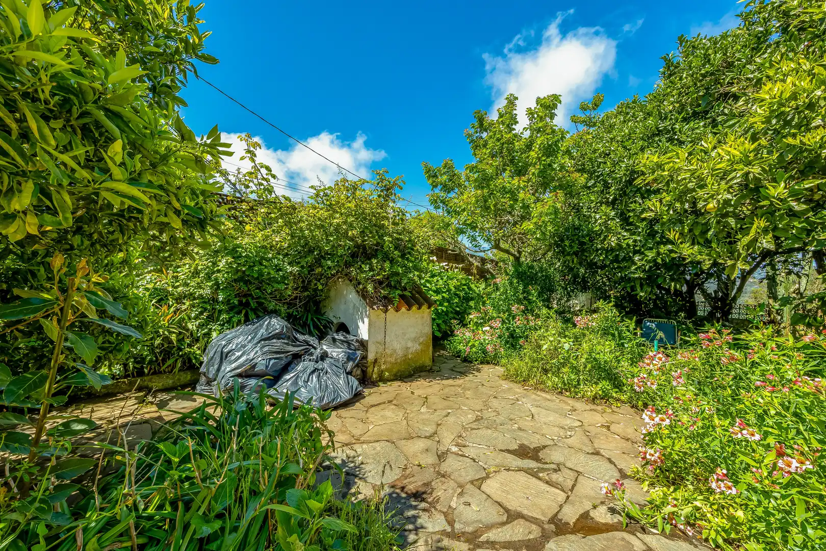 Casa o xalet en venda en Valleseco amb Jardí privat, Terrassa i Traster