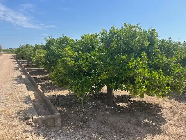 Rural land for sale in Carrer del Pou, imagen 6