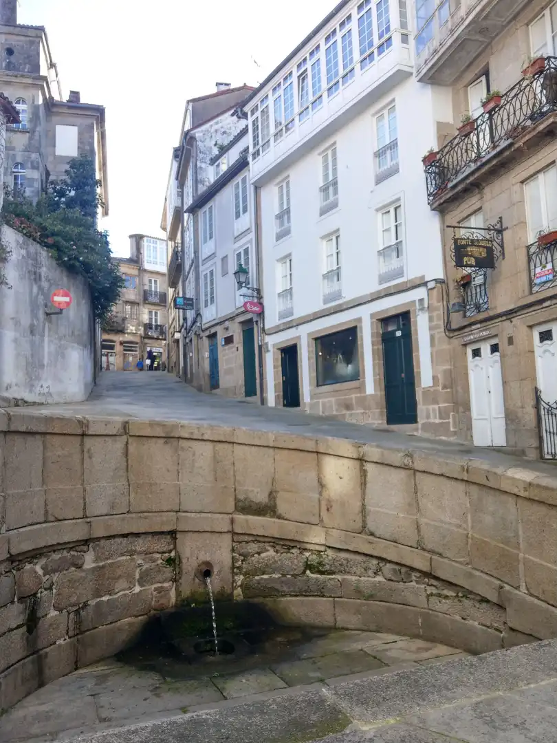 Außenansicht von Haus oder Chalet zum Verkauf in Santiago de Compostela 
