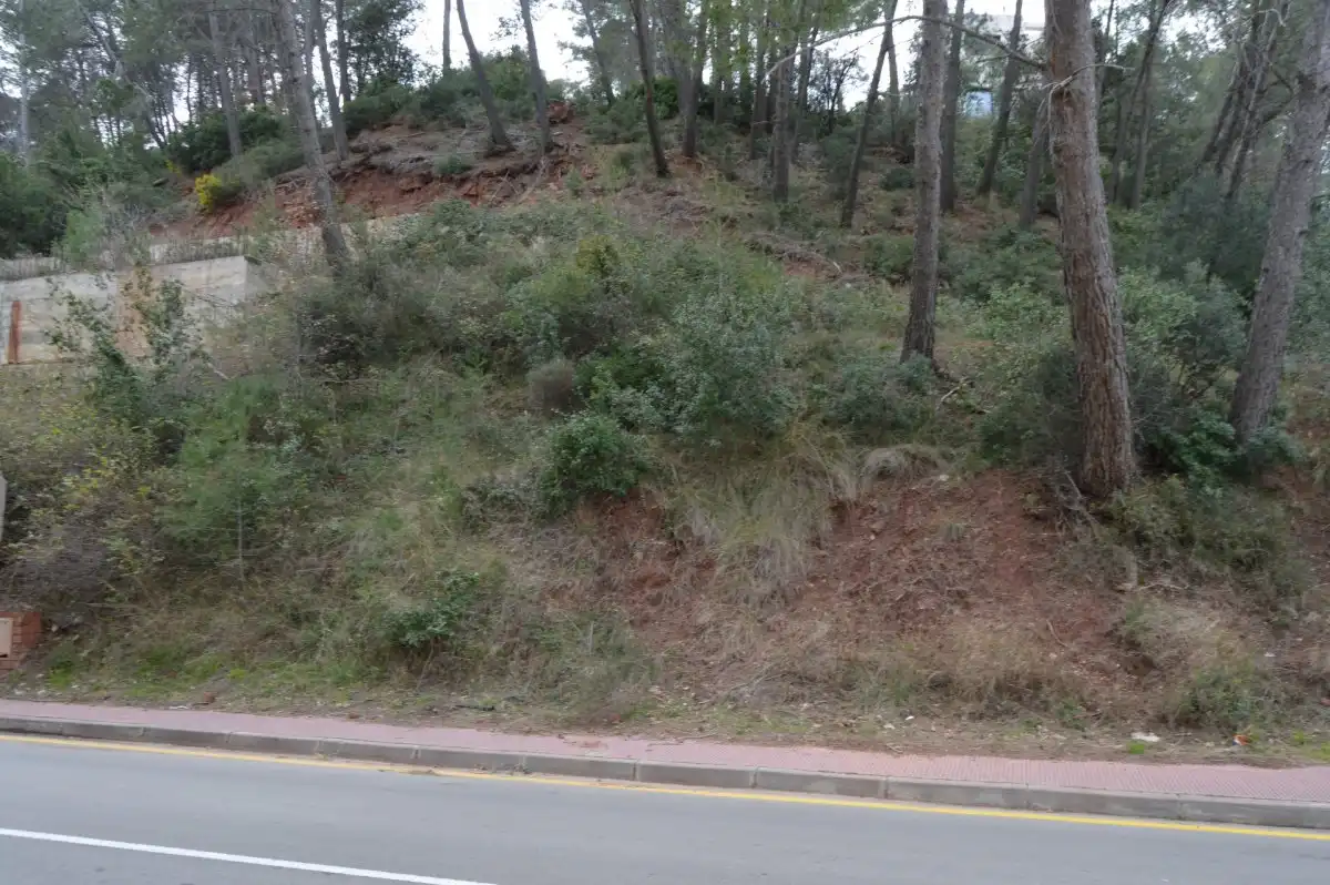 Terreni e lotti in vendita a Corbera de Llobregat, imagen 20