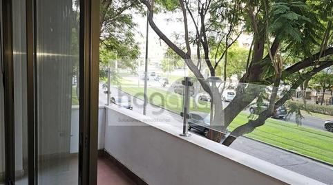 Photo 2 of Flat to rent in Parque María Luisa -Giralda Sur, Sevilla