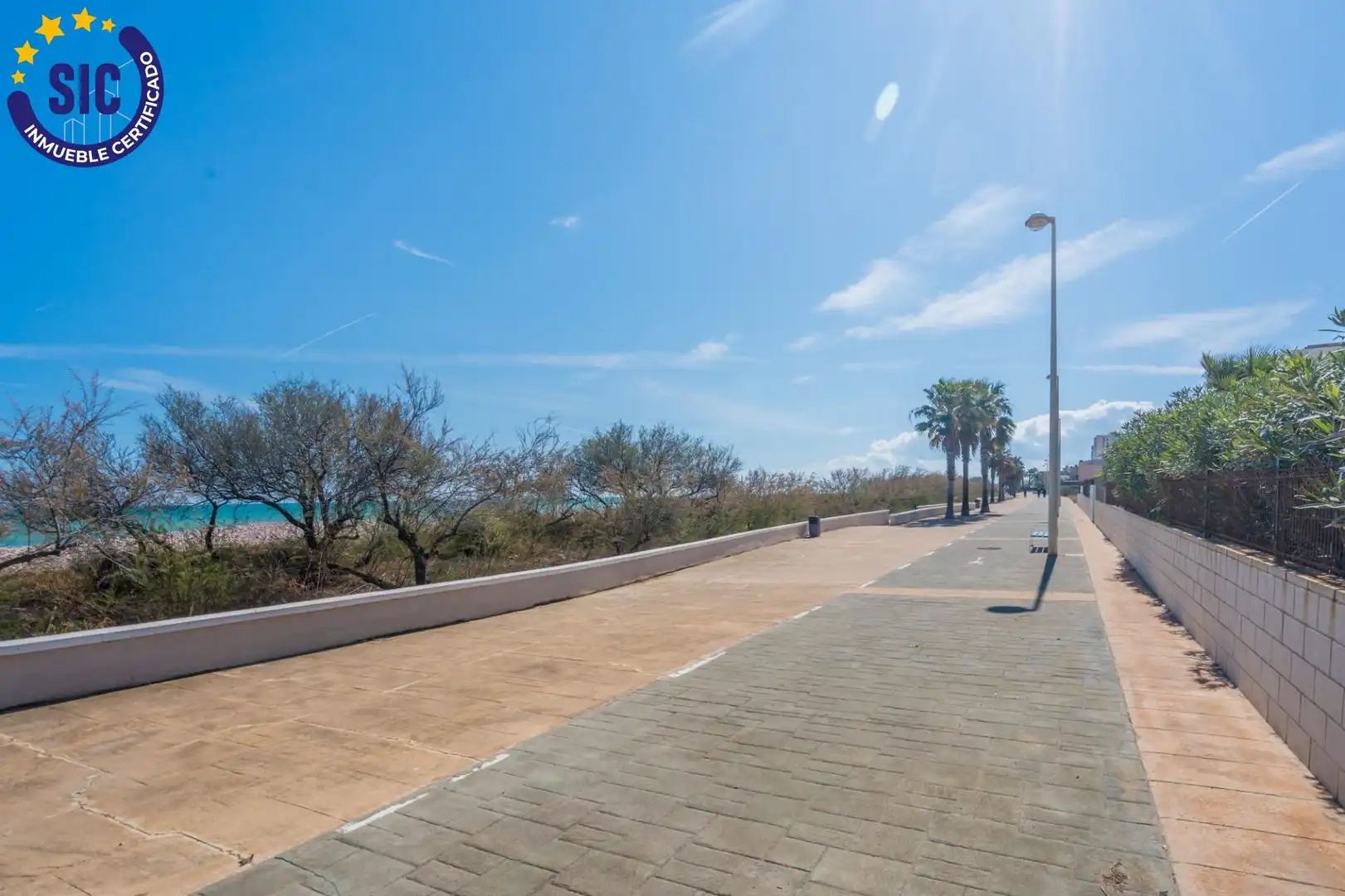 Piso con piscina en venta en Avenida Avenida Tramuntana, imagen 63