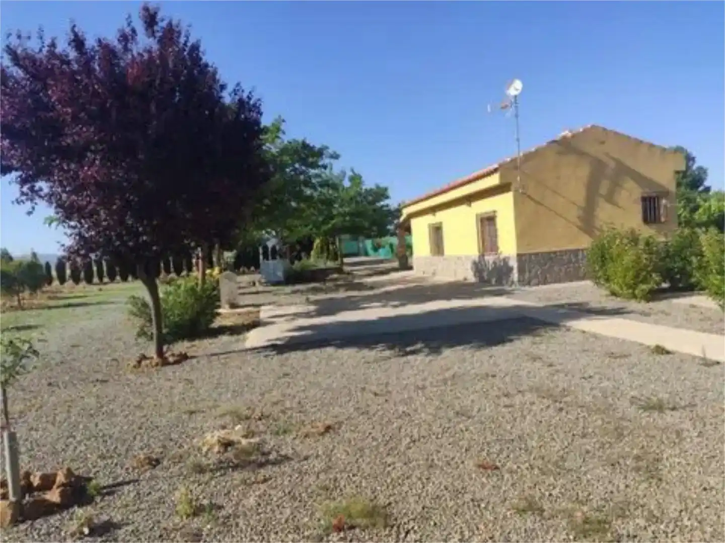 Vista exterior de Finca rústica en venda en Consuegra amb Jardí privat i Moblat
