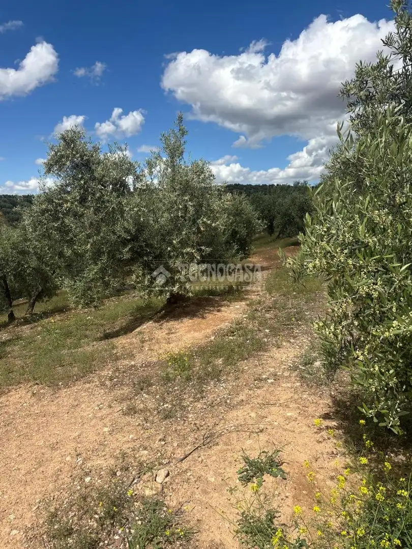 Terreno rustico in vendita a Calicasas, imagen 3
