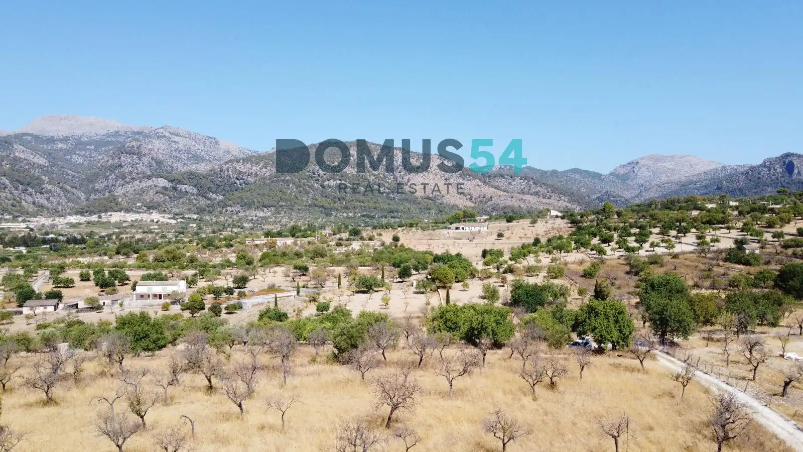Land for sale in Selva