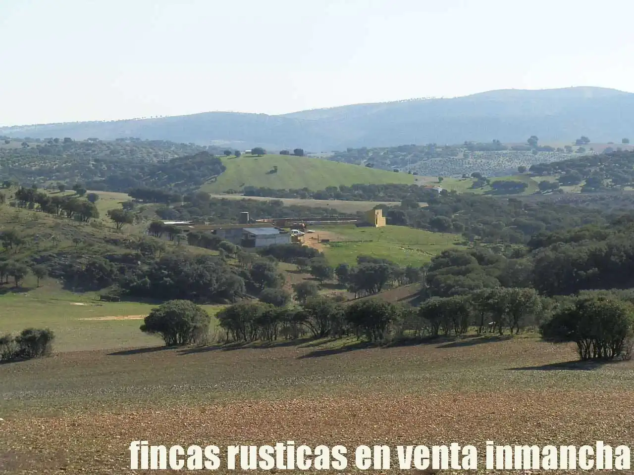Terreno en venta en Almuradiel